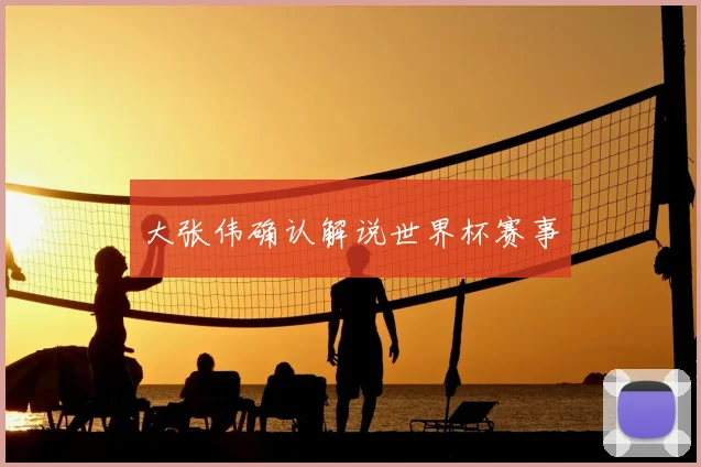 大张伟确认解说世界杯赛事