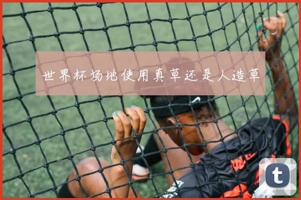世界杯场地使用真草还是人造草