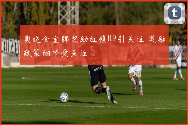 奥运会金牌奖励红旗H9引关注 奖励政策细节受关注