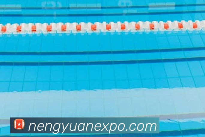 多媒体互动体验